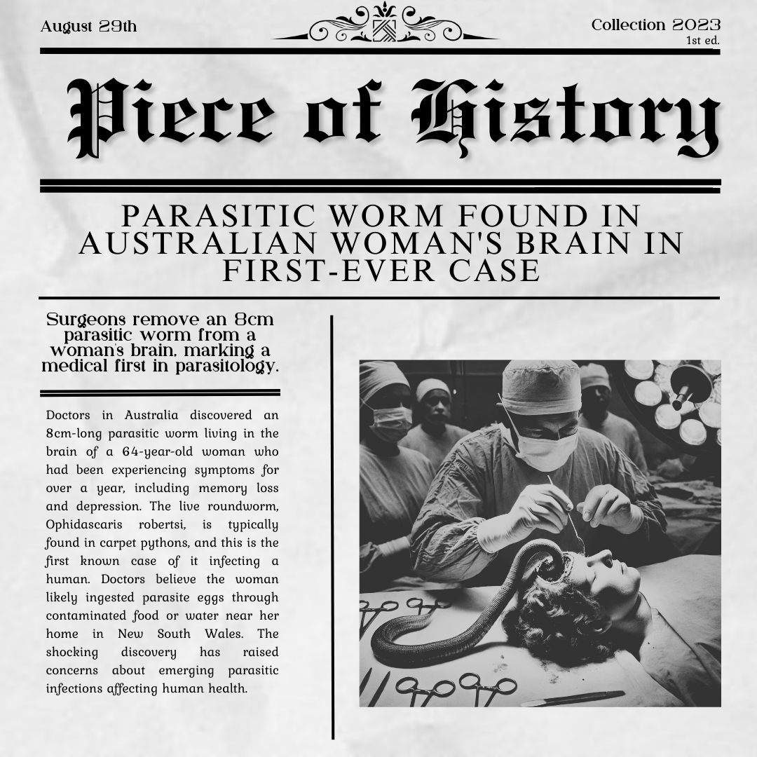 Piece of History 29:08collection 2023